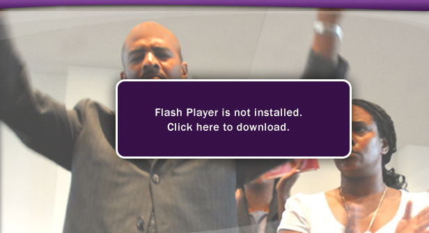 This site requires flash